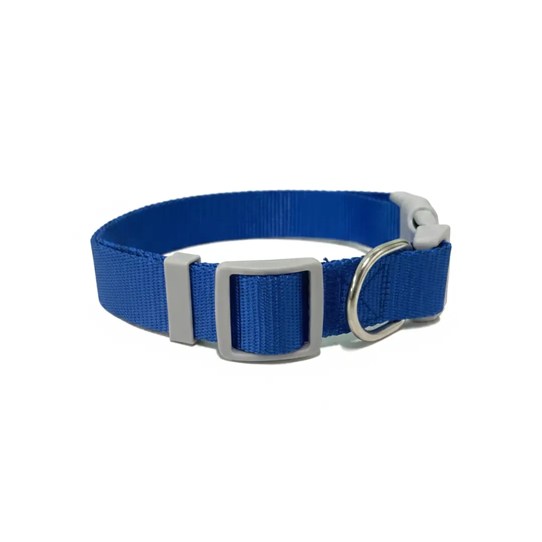Coleira Azul 2,5cm para Cães GR223888 Pet Next