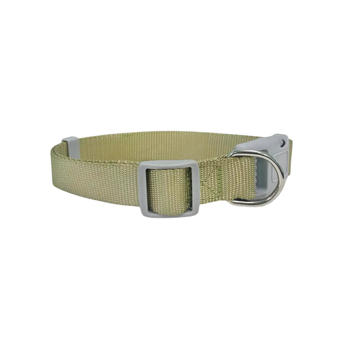 Coleira Verde 2,5cm para Cães GR222075 Pet Next