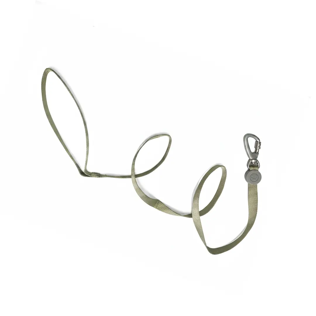 Guia 1,5cm Verde 1,2m para Cães GR222076 Pet Next