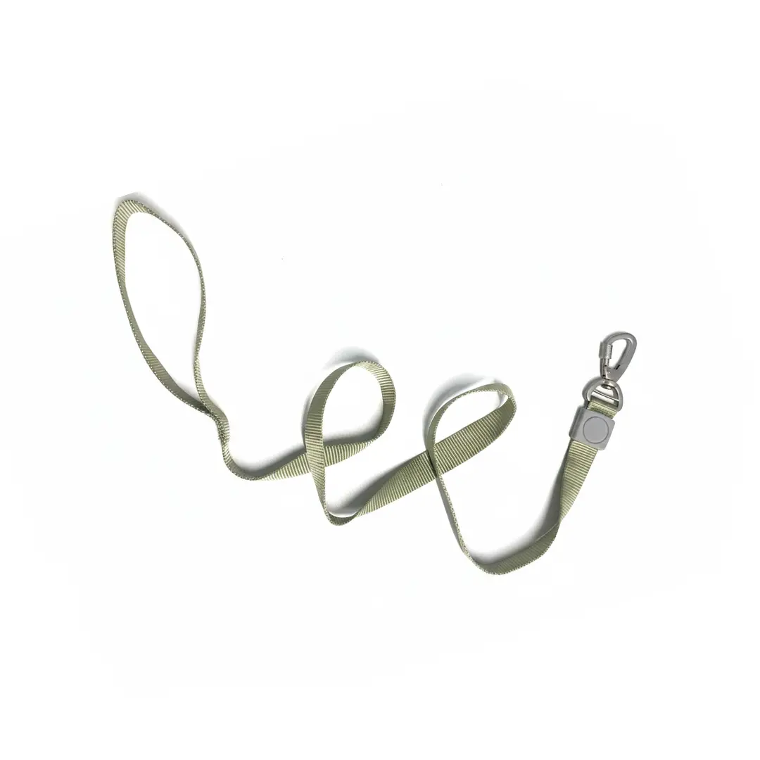 Guia 2,5cm Verde 1,2m para Cães GR222078 Pet Next