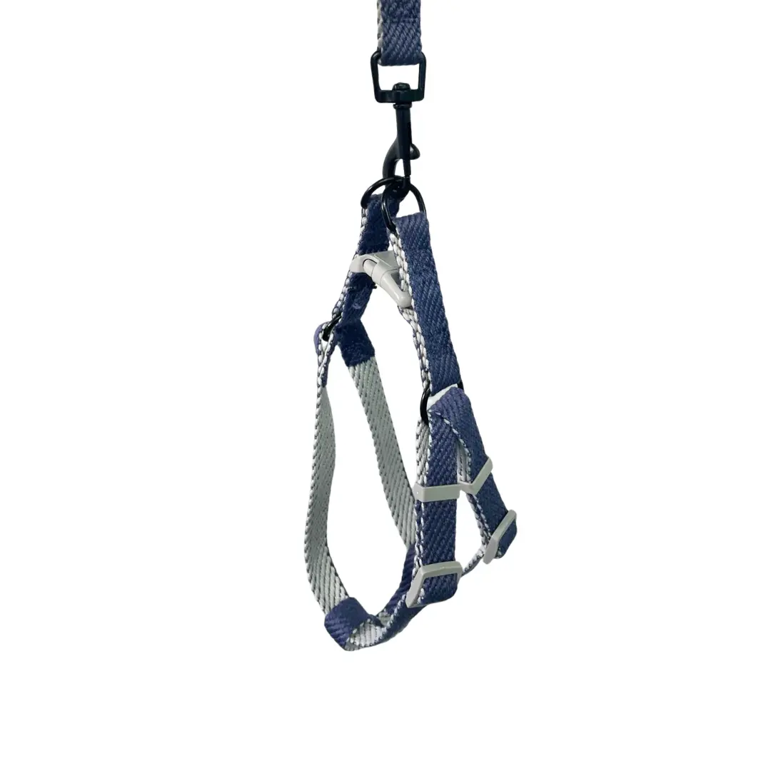 Peitoral Y Azul com Guia 1,5cm para Cães GR223944 Pet Next