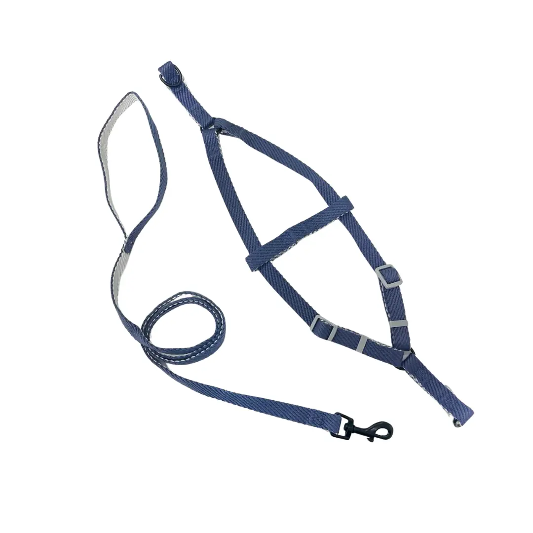 Peitoral Y Azul com Guia 1,5cm para Cães GR223944 Pet Next