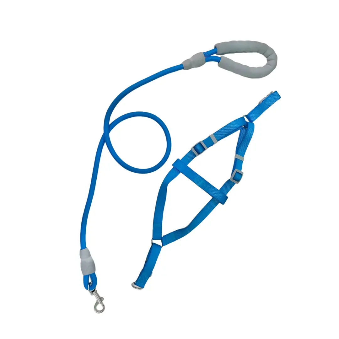 Peitoral Y Azul com Guia Corda 1cm para Cães GR223915 Pet Next