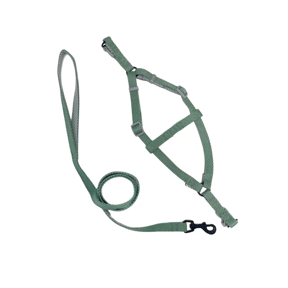 Peitoral Y Verde com Guia 1,5cm para Cães GR223009 Pet Next
