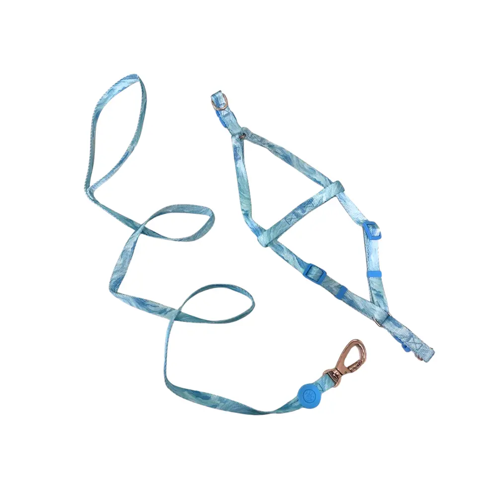 Peitoral Y Azul Céu Fashion com Guia 1,5cm para Cães GR222092 Pet Next