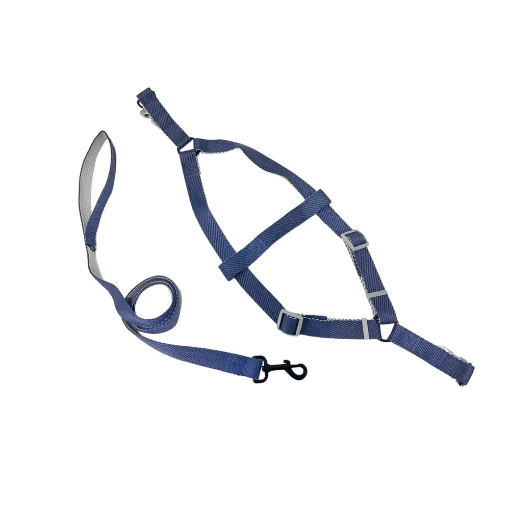 Peitoral Y Azul com Guia 2,5cm para Cães GR223947 Pet Next
