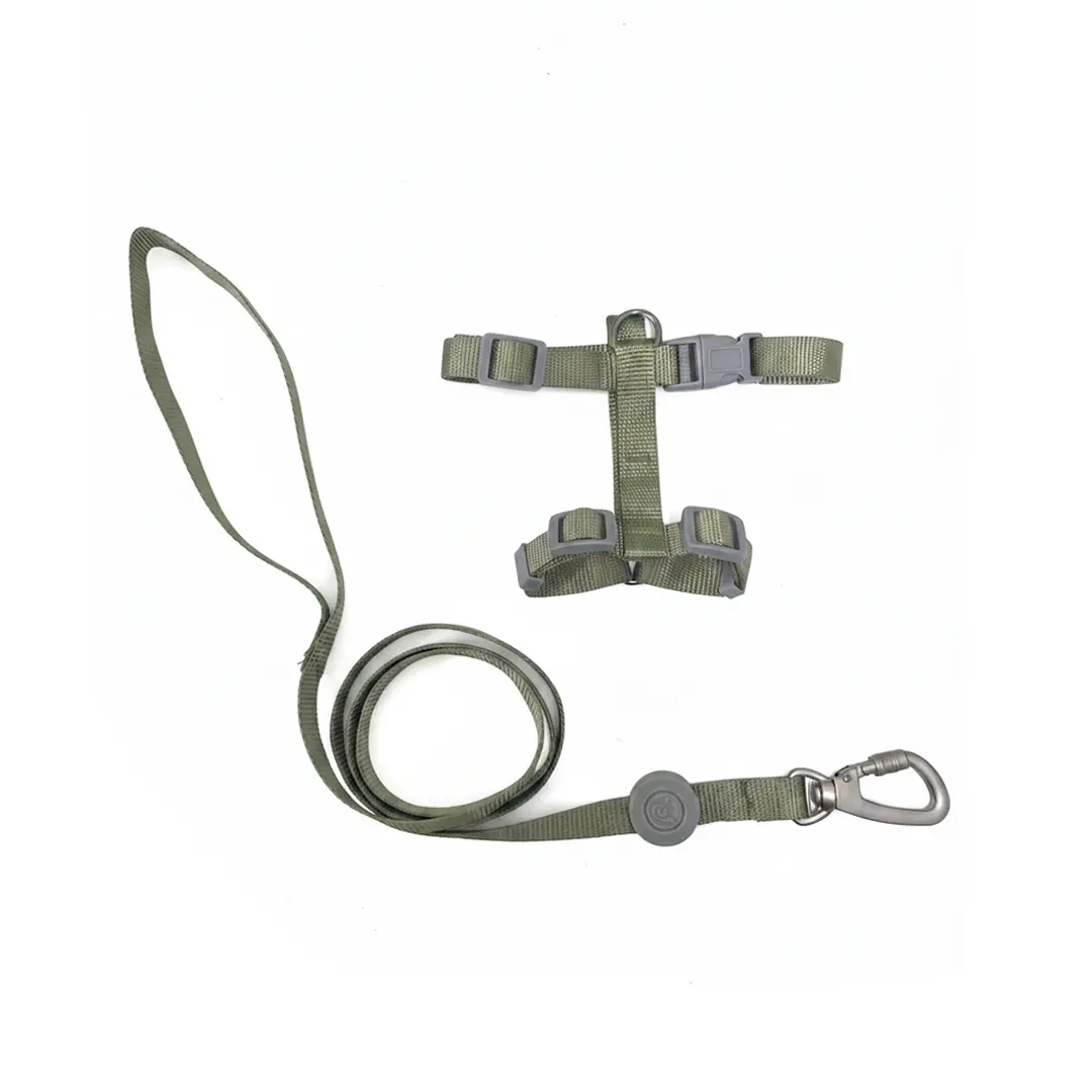 Peitoral H Liso 1,5cm Verde com Guia para Cães GR222070 Pet Next