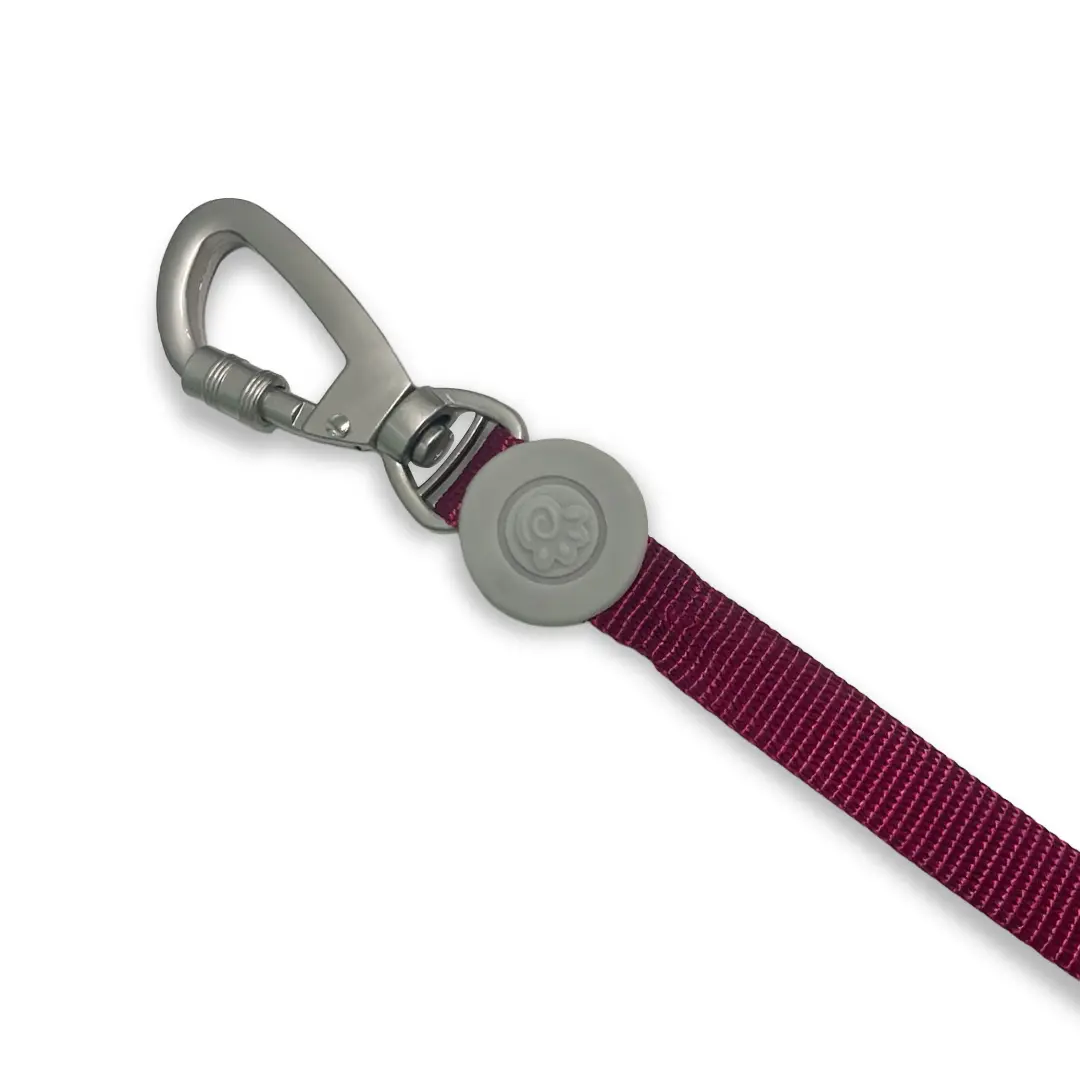 Peitoral H Liso 1,5cm Vermelho com Guia para Cães GR223867 Pet Next