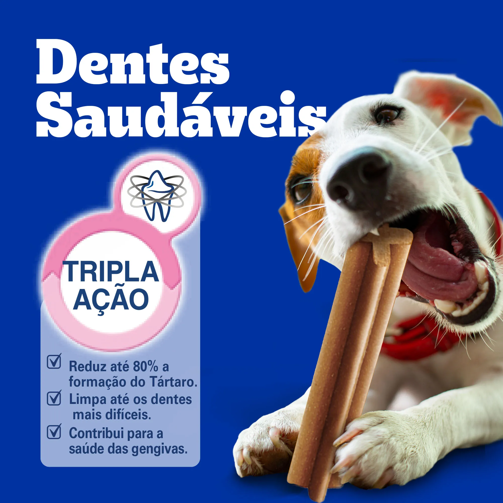 10x Petisco Pedigree Dentastix Cães Adultos Raças Médias 7UN 80g