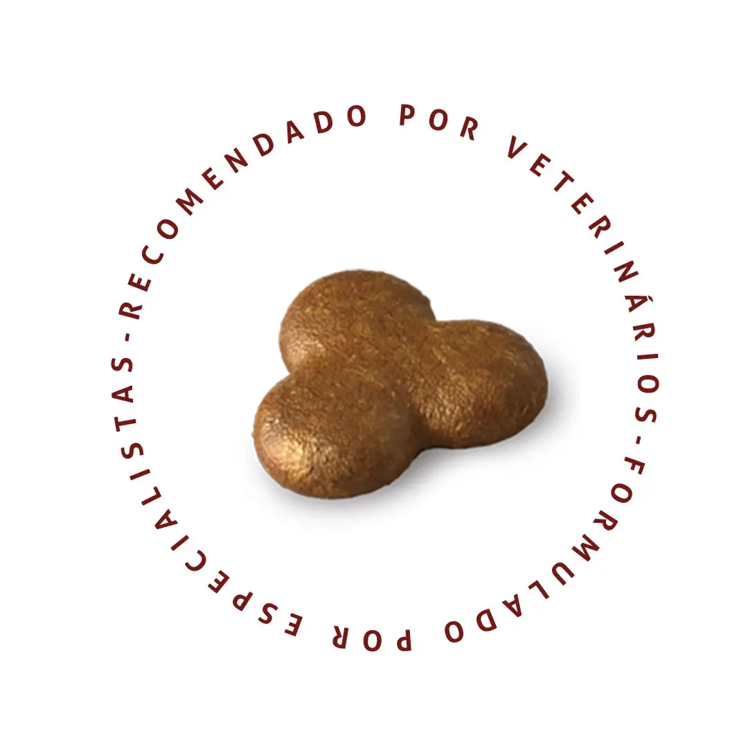 Ração Special Cat para Gatos Adultos Sabor Carne 10,1Kg