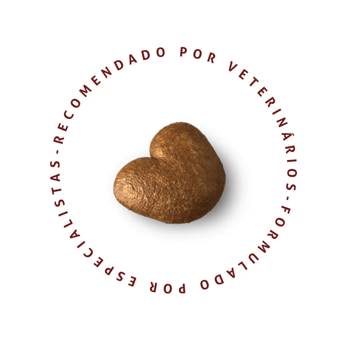 Ração Special Cat para Gatos Filhotes Sabor Mix de Carnes 10,1Kg