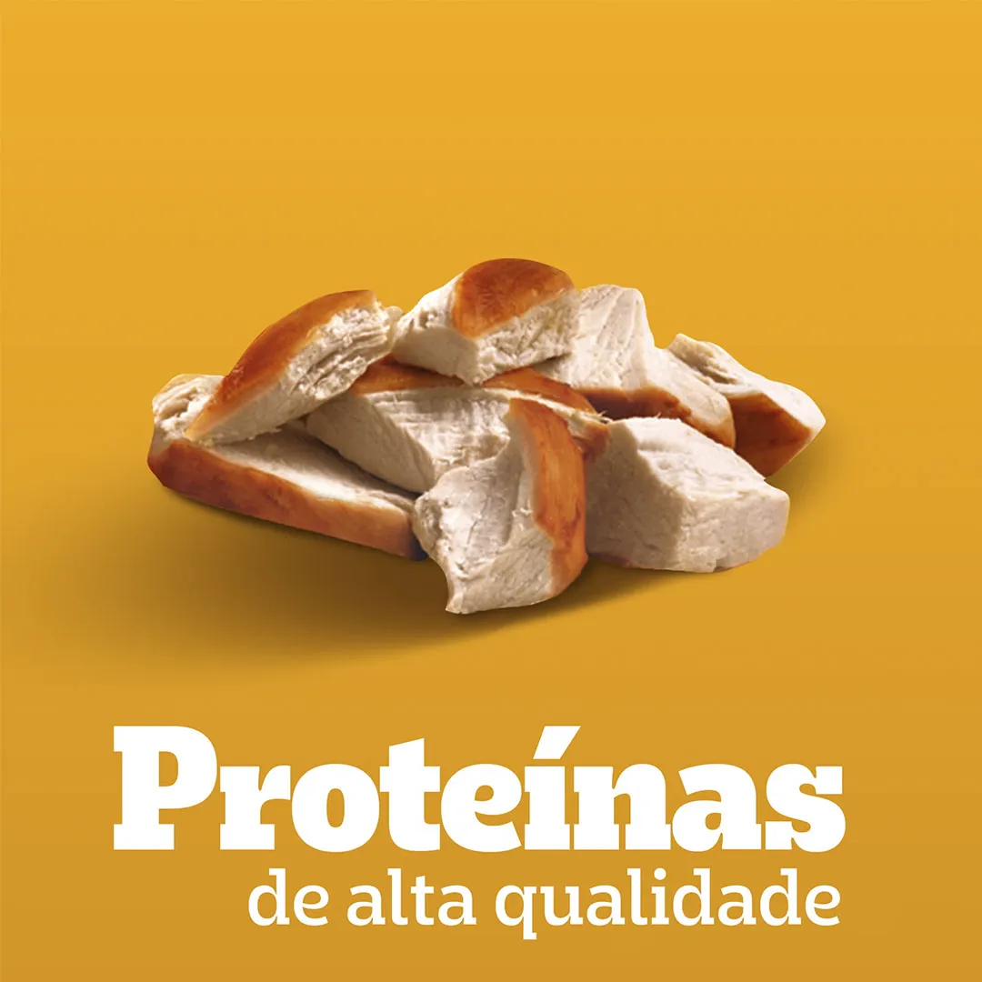 Pack Sachê Pedigree para Cães Adultos Raças Pequenas Leve 12 e Pague 10 Sabor Frango 100g