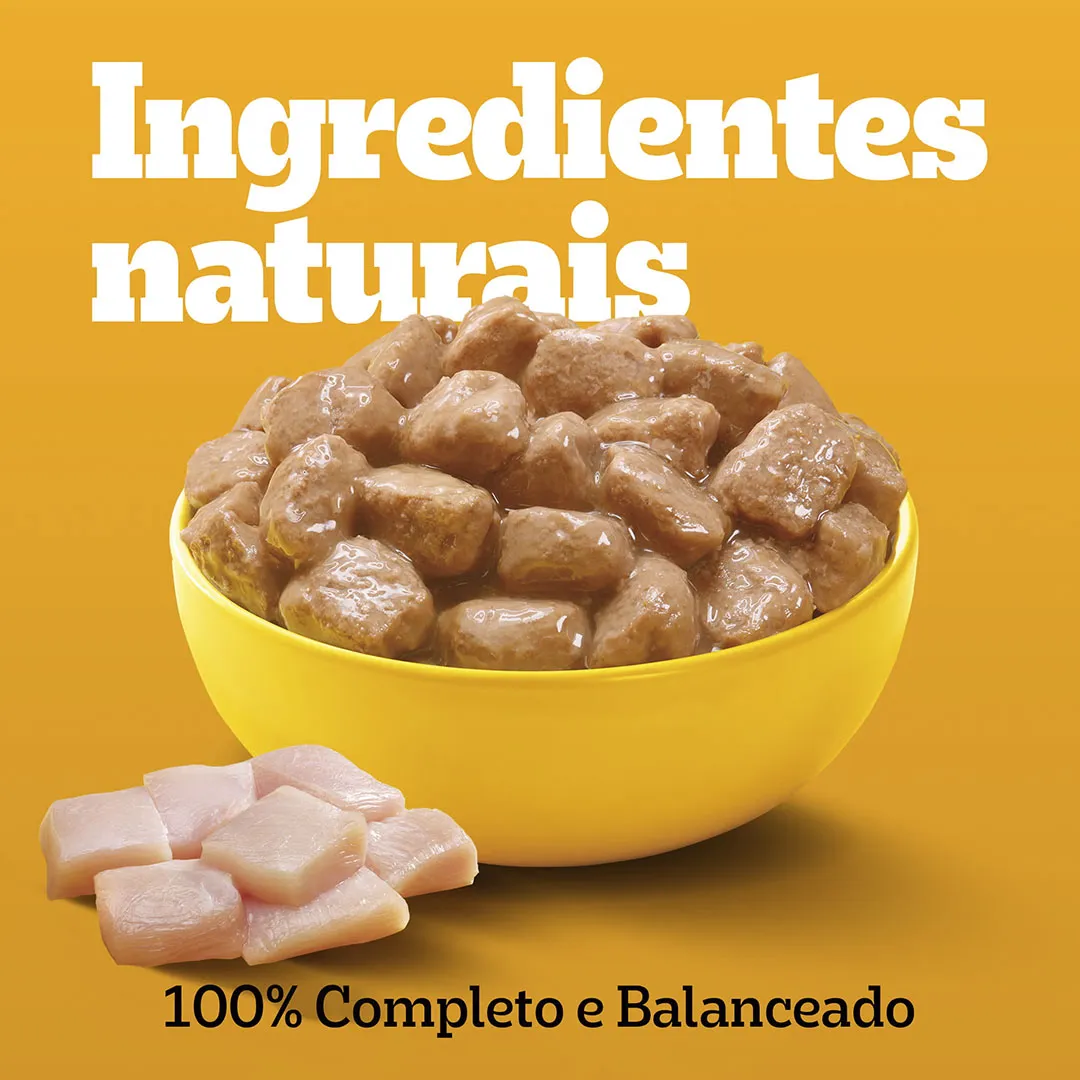 Pack Sachê Pedigree para Cães Adultos Raças Pequenas Leve 12 e Pague 10 Sabor Frango 100g