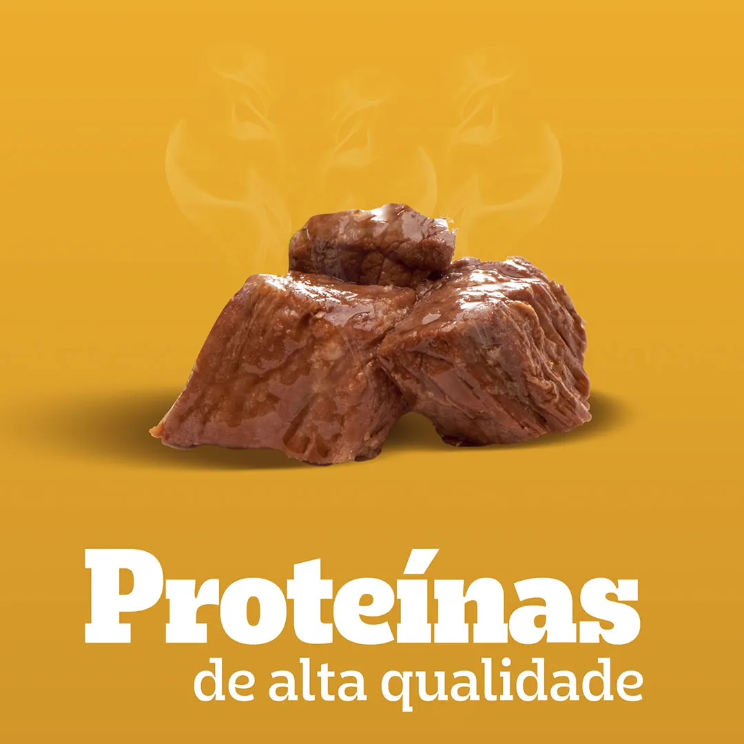 Pack Sachê Pedigree para Cães Adultos Raças Pequenas Leve 12 e Pague 10 Sabor Cordeiro 100g