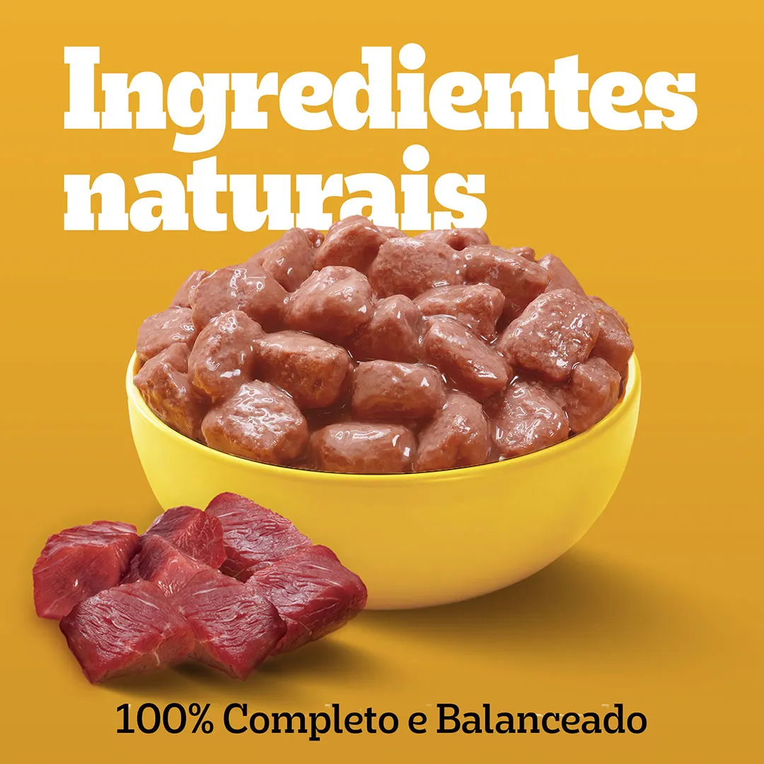 Pack Sachê Pedigree para Cães Adultos Raças Pequenas Leve 12 e Pague 10 Sabor Cordeiro 100g