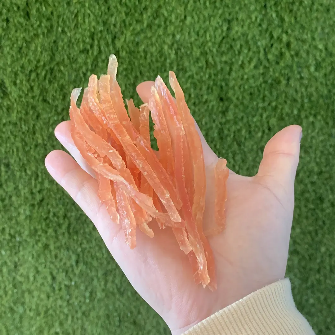 Petisco Just German Hart Slice Tiras de Frango para Cães e Gatos 55g
