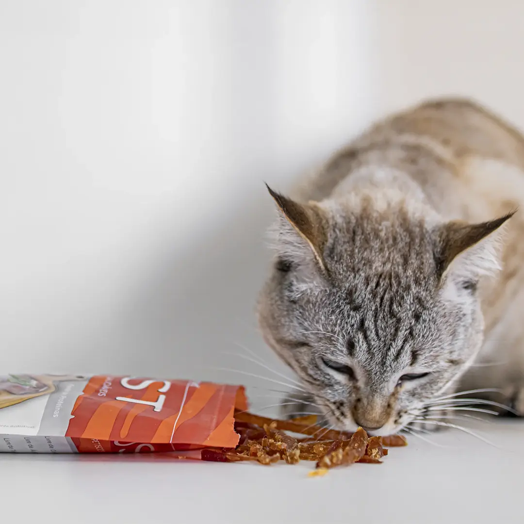 Petisco Just German Hart Slice Mix de Tiras de Frango e Pato para Cães e Gatos 75g
