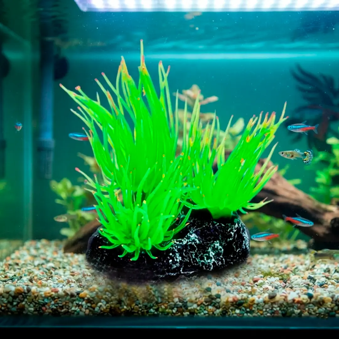 Enfeite de Silicone Soma para Aquários Anemonia Long Tentacle Verde Multi